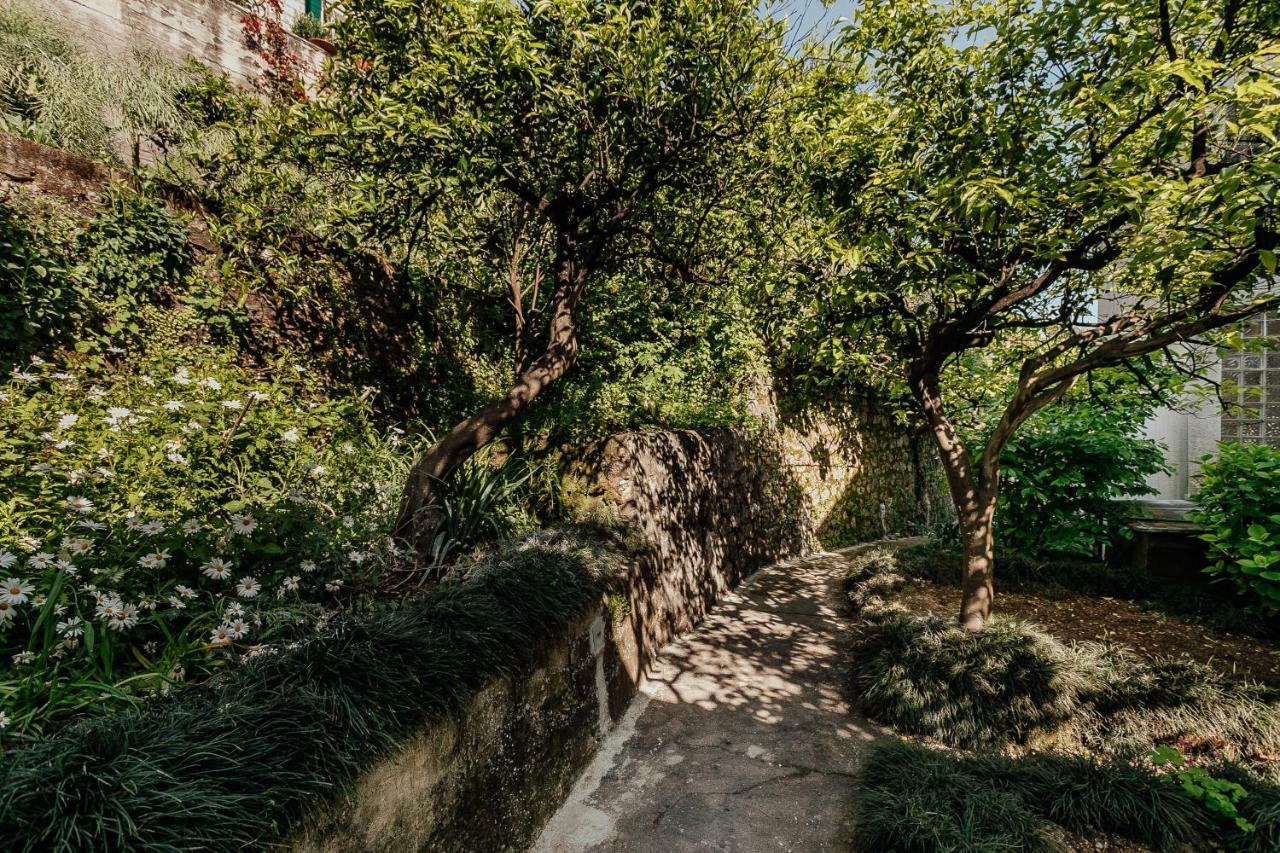 Boka Apartment 4 Herceg Novi Luaran gambar